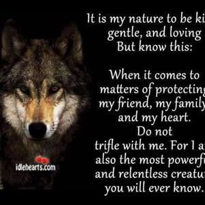 Meet your Posher, Steve